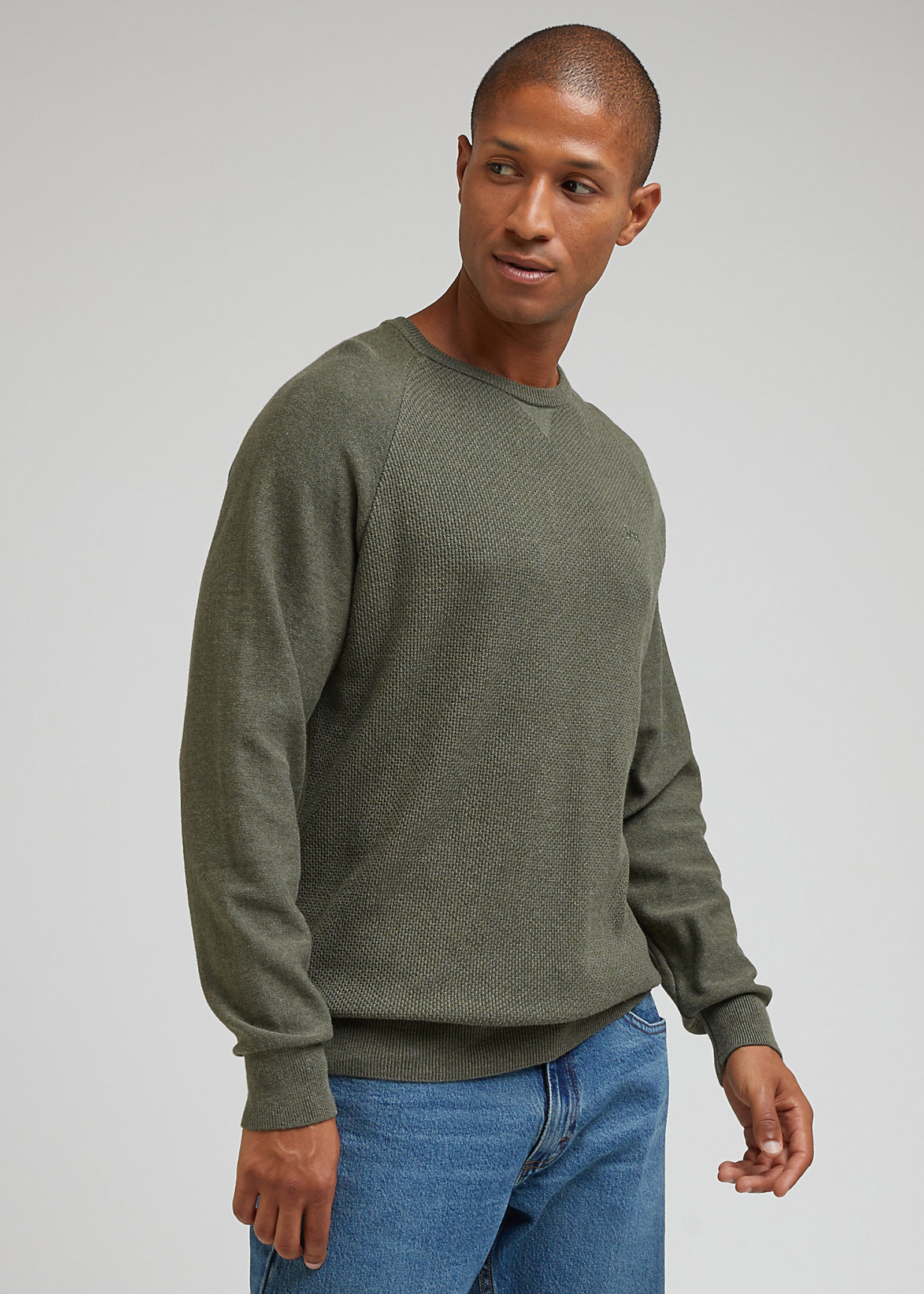 Lee Reglan Knit Olive Grove - L83PKHA61